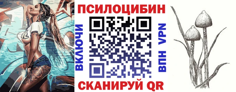 Псилоцибиновые грибы Magic Shrooms  кракен как войти  Черноголовка 